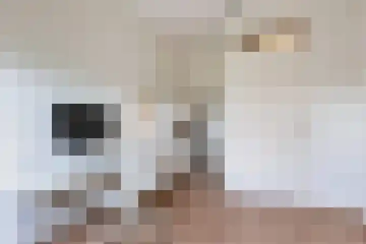 Postmeestersdreef 412 Apeldoorn thumbnail 25