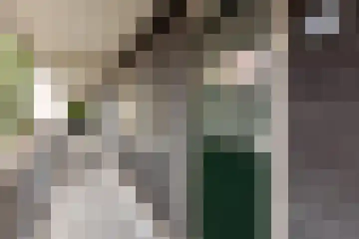 Postmeestersdreef 412 Apeldoorn thumbnail 27
