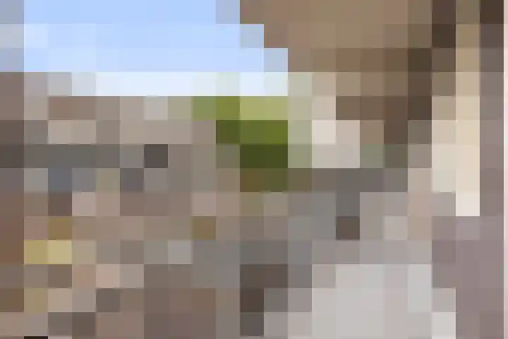 Postmeestersdreef 412 Apeldoorn thumbnail 28