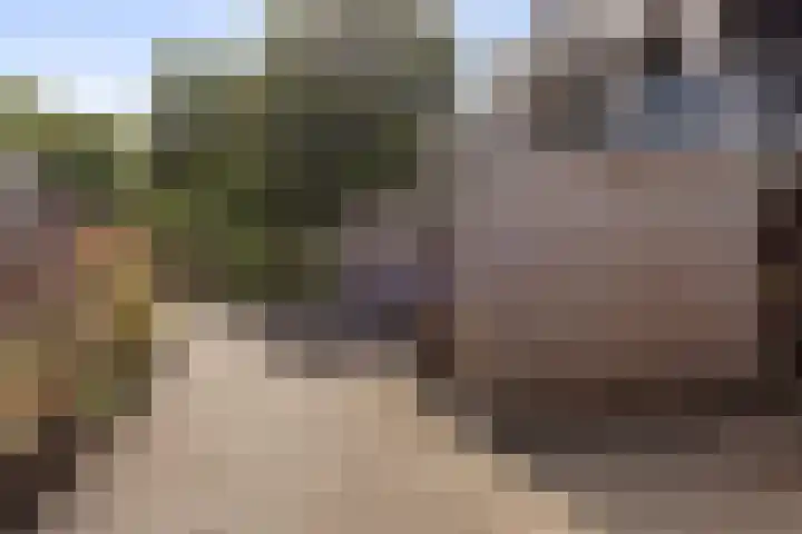 Postmeestersdreef 412 Apeldoorn thumbnail 30