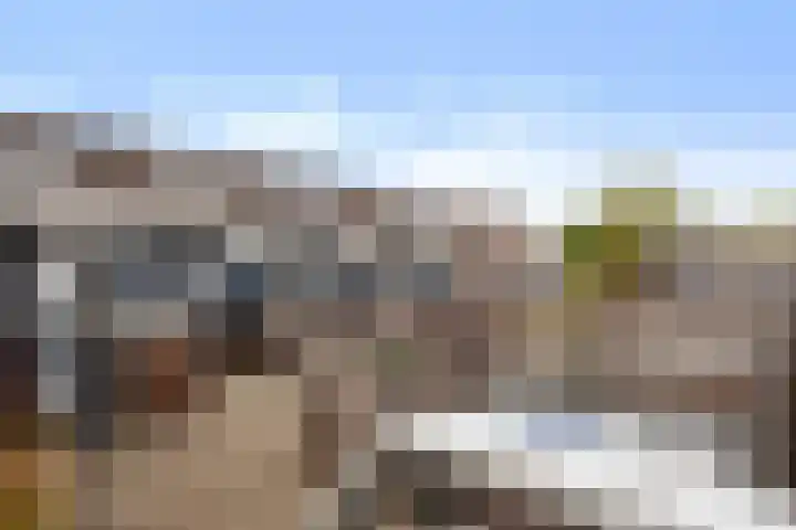 Postmeestersdreef 412 Apeldoorn thumbnail 31