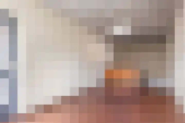 Postmeestersdreef 412 Apeldoorn thumbnail 33
