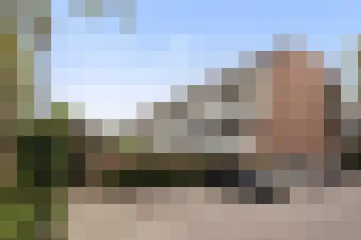 Postmeestersdreef 412 Apeldoorn thumbnail 38