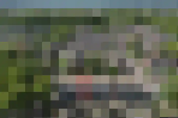 Postmeestersdreef 412 Apeldoorn thumbnail 39