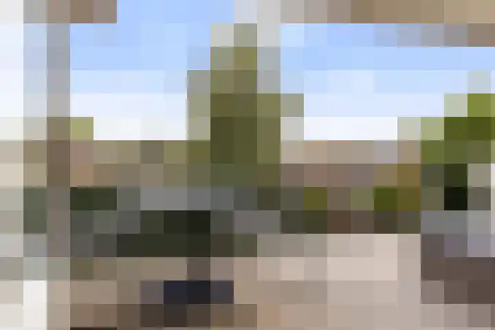 Postmeestersdreef 412 Apeldoorn thumbnail 5