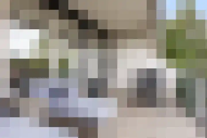 Postmeestersdreef 412 Apeldoorn thumbnail 7