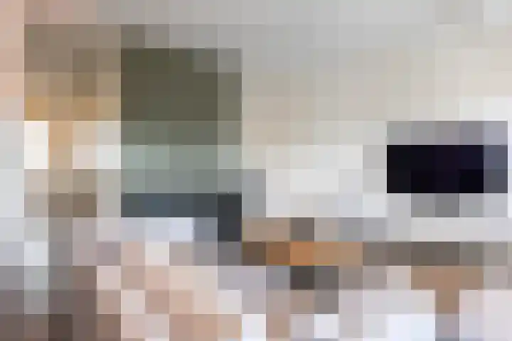 Postmeestersdreef 412 Apeldoorn thumbnail 9