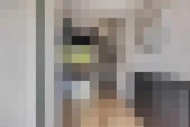 Postmeestersdreef 428 Apeldoorn thumbnail 11