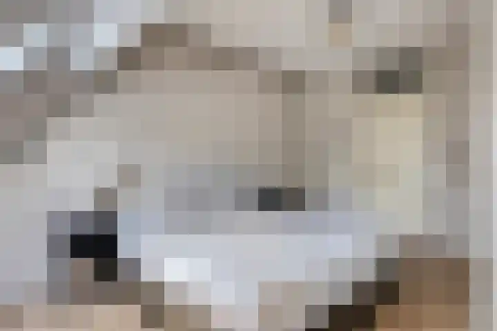 Postmeestersdreef 428 Apeldoorn thumbnail 14
