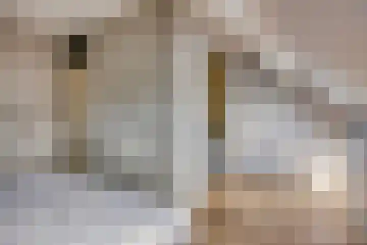 Postmeestersdreef 428 Apeldoorn thumbnail 15