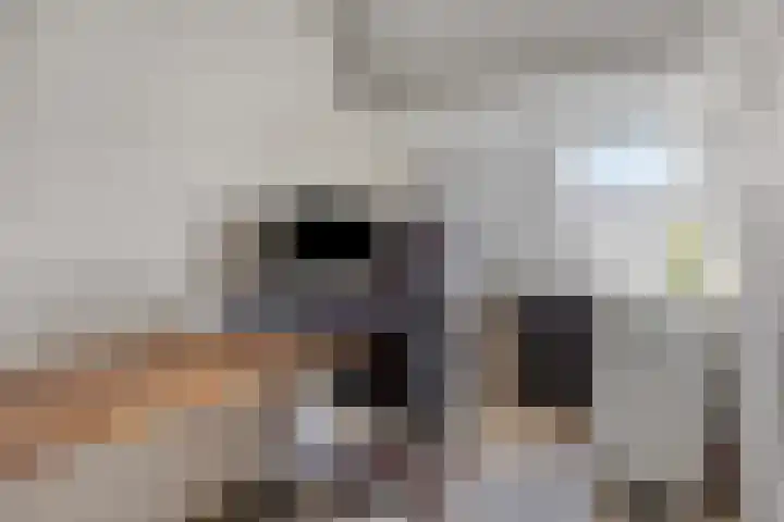 Postmeestersdreef 428 Apeldoorn thumbnail 20