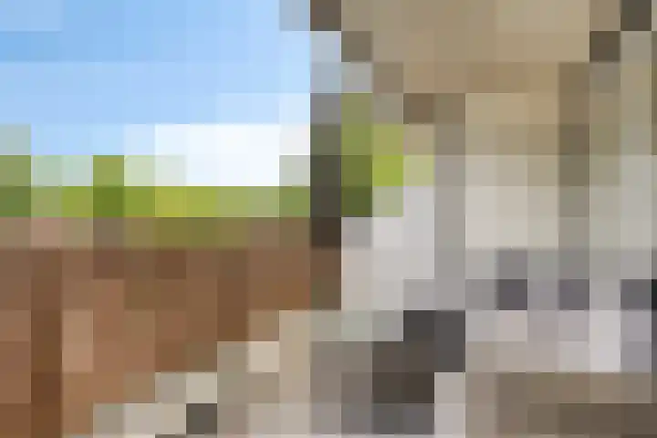 Postmeestersdreef 428 Apeldoorn thumbnail 21
