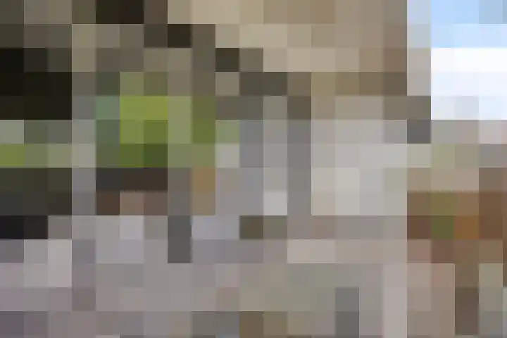 Postmeestersdreef 428 Apeldoorn thumbnail 22