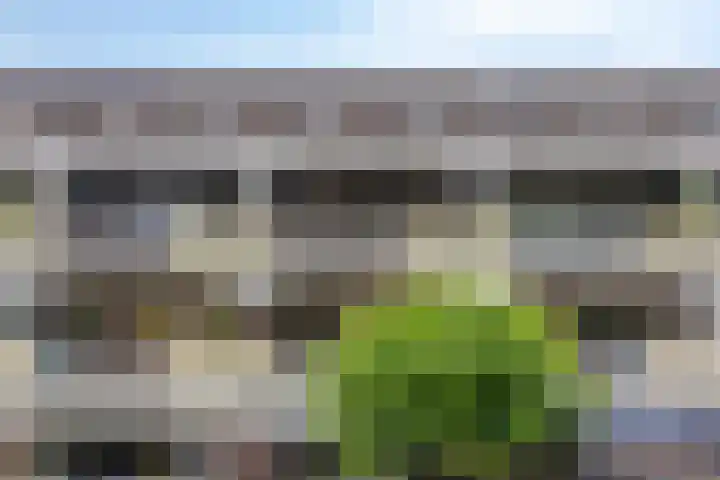 Postmeestersdreef 428 Apeldoorn thumbnail 28