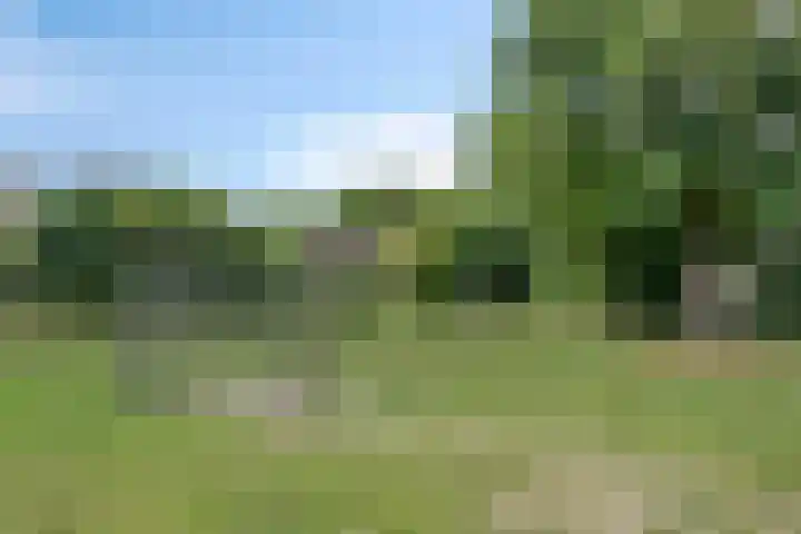 Postmeestersdreef 428 Apeldoorn thumbnail 29