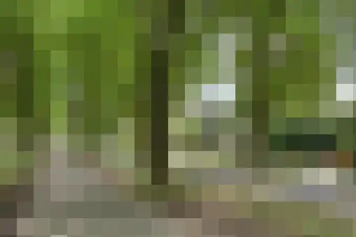Postmeestersdreef 428 Apeldoorn thumbnail 30
