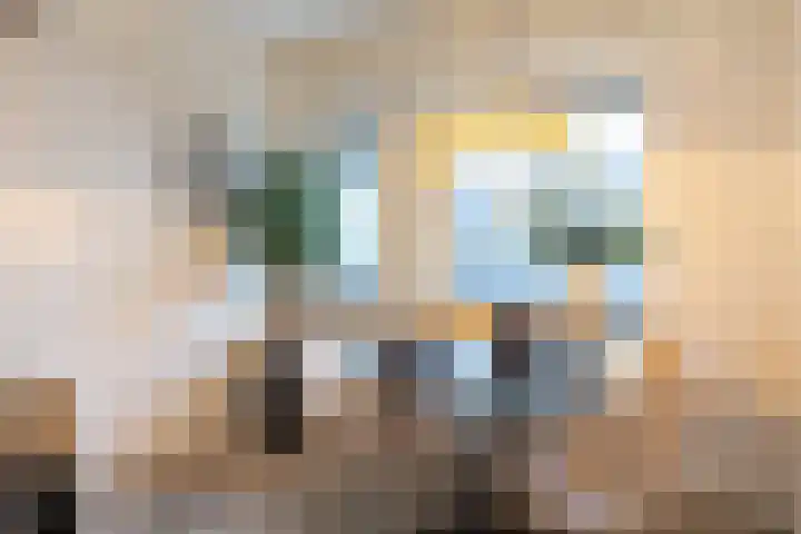 Postmeestersdreef 429 Apeldoorn thumbnail 11