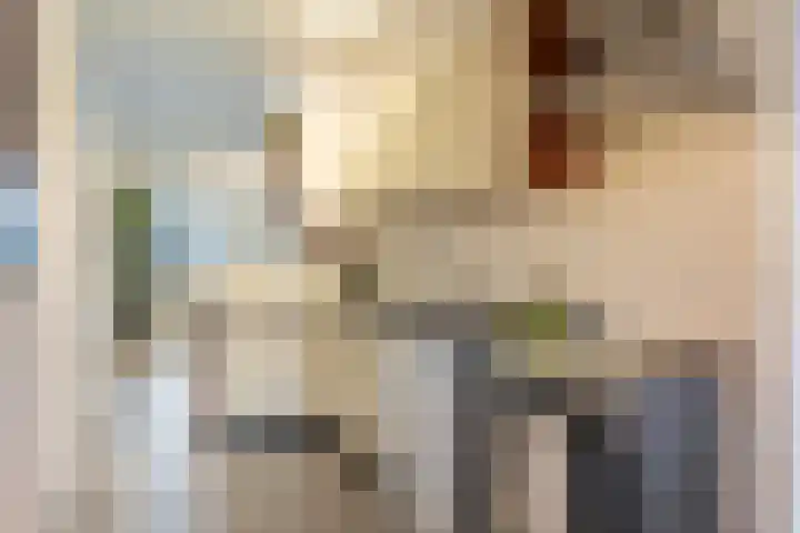 Postmeestersdreef 429 Apeldoorn thumbnail 13