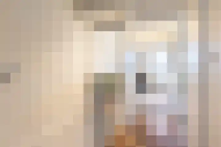 Postmeestersdreef 429 Apeldoorn thumbnail 17