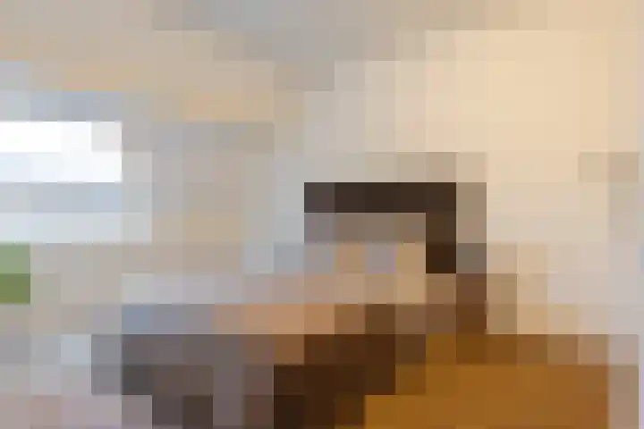 Postmeestersdreef 429 Apeldoorn thumbnail 27