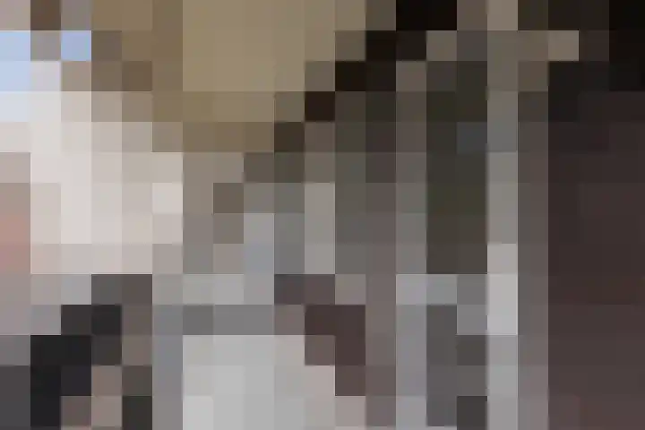 Postmeestersdreef 429 Apeldoorn thumbnail 29