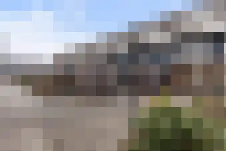Postmeestersdreef 429 Apeldoorn thumbnail 32