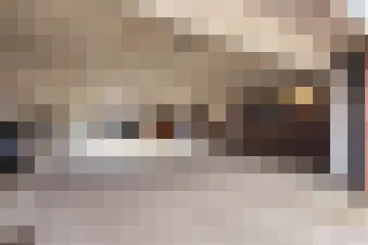 Postmeestersdreef 429 Apeldoorn thumbnail 34