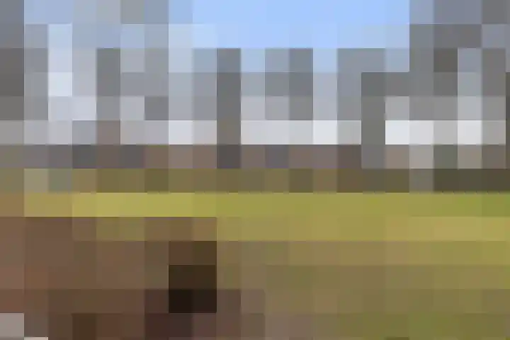 Postmeestersdreef 429 Apeldoorn thumbnail 36