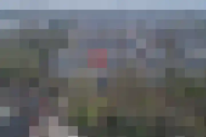 Postmeestersdreef 429 Apeldoorn thumbnail 37