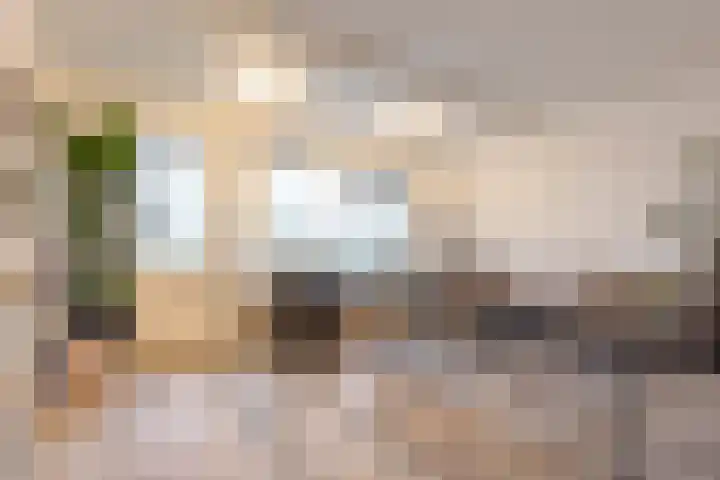 Postmeestersdreef 429 Apeldoorn thumbnail 4