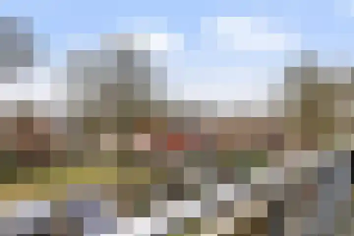 Postmeestersdreef 429 Apeldoorn thumbnail 6