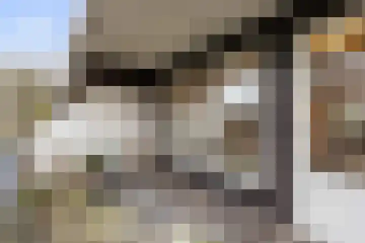 Postmeestersdreef 429 Apeldoorn thumbnail 7