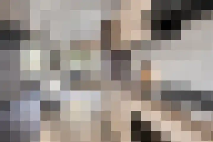 Postmeestersdreef 431 Apeldoorn thumbnail 13