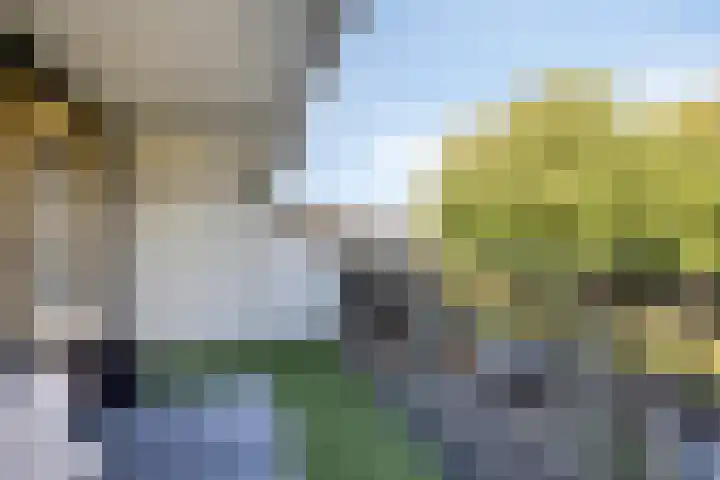 Postmeestersdreef 431 Apeldoorn thumbnail 17