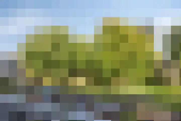 Postmeestersdreef 431 Apeldoorn thumbnail 18