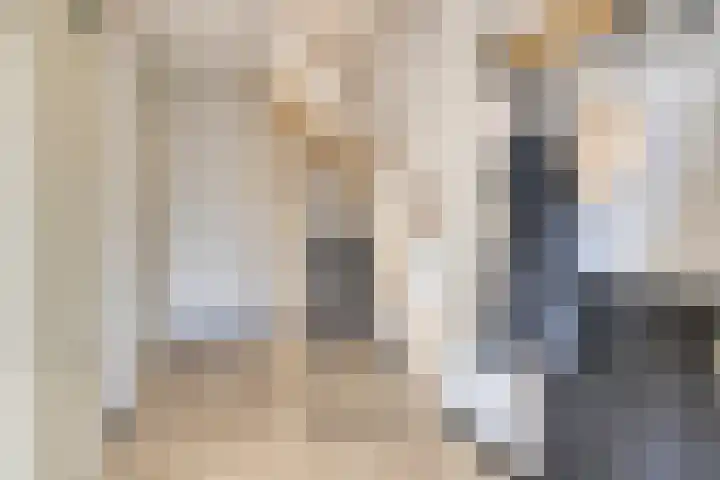 Postmeestersdreef 431 Apeldoorn thumbnail 19