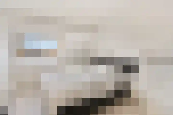 Postmeestersdreef 431 Apeldoorn thumbnail 21