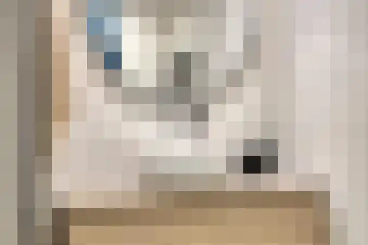 Postmeestersdreef 431 Apeldoorn thumbnail 25