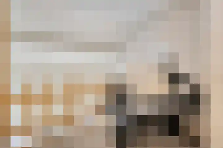 Postmeestersdreef 431 Apeldoorn thumbnail 27