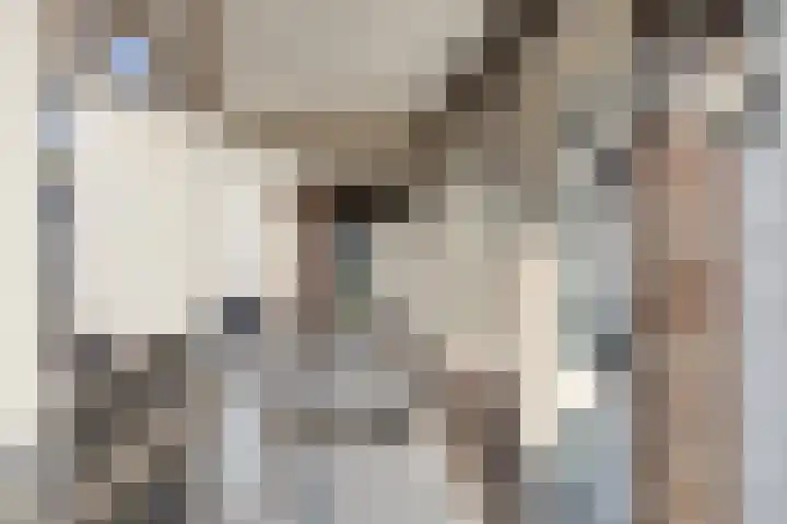 Postmeestersdreef 431 Apeldoorn thumbnail 29