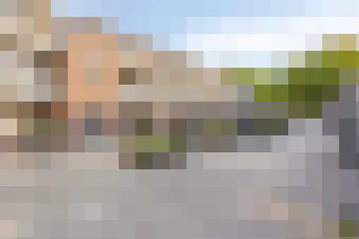 Postmeestersdreef 431 Apeldoorn thumbnail 31