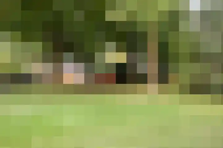 Postmeestersdreef 431 Apeldoorn thumbnail 36