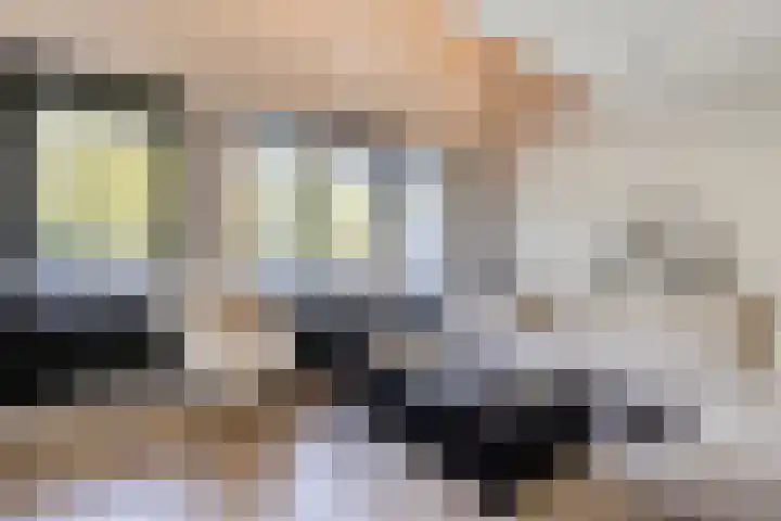 Postmeestersdreef 431 Apeldoorn thumbnail 6