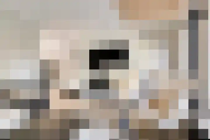 Postmeestersdreef 431 Apeldoorn thumbnail 8