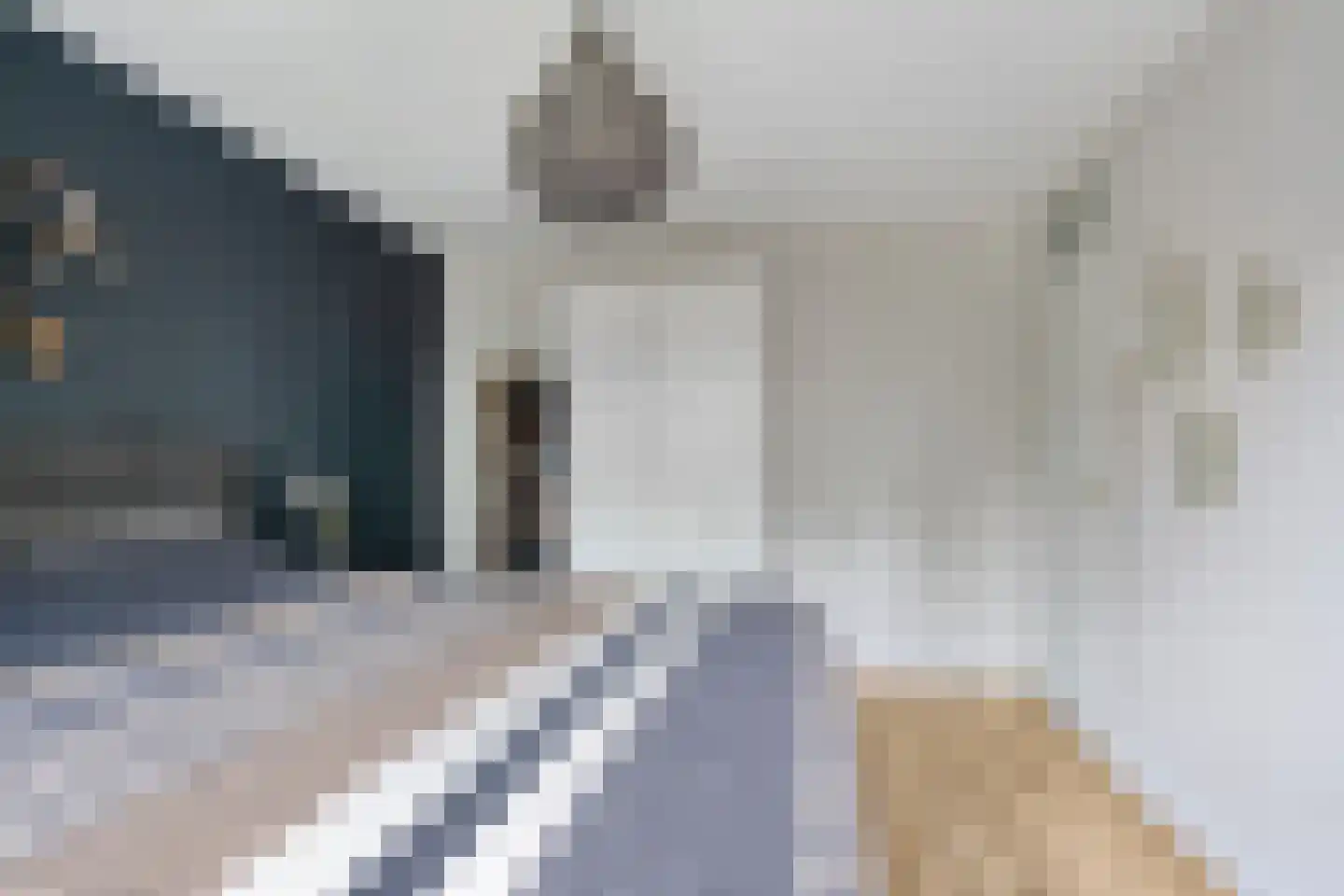 Postmeesterwei 18 Arnhem thumbnail 15
