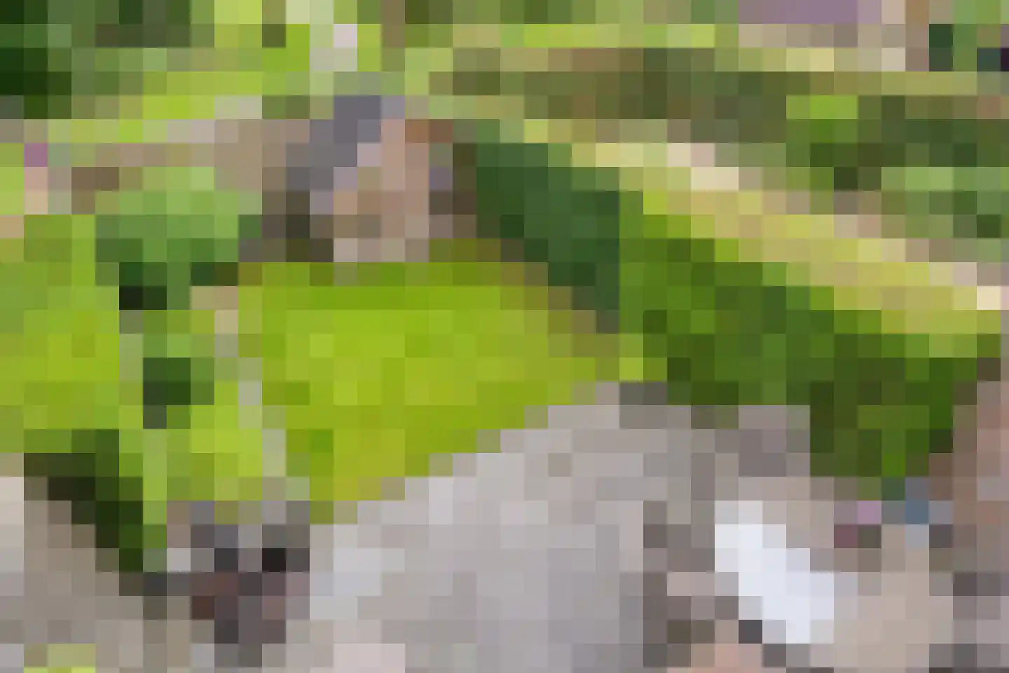 Postmeesterwei 18 Arnhem thumbnail 25