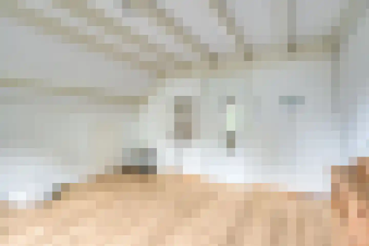 Postmeesterwei 18 Arnhem thumbnail 30