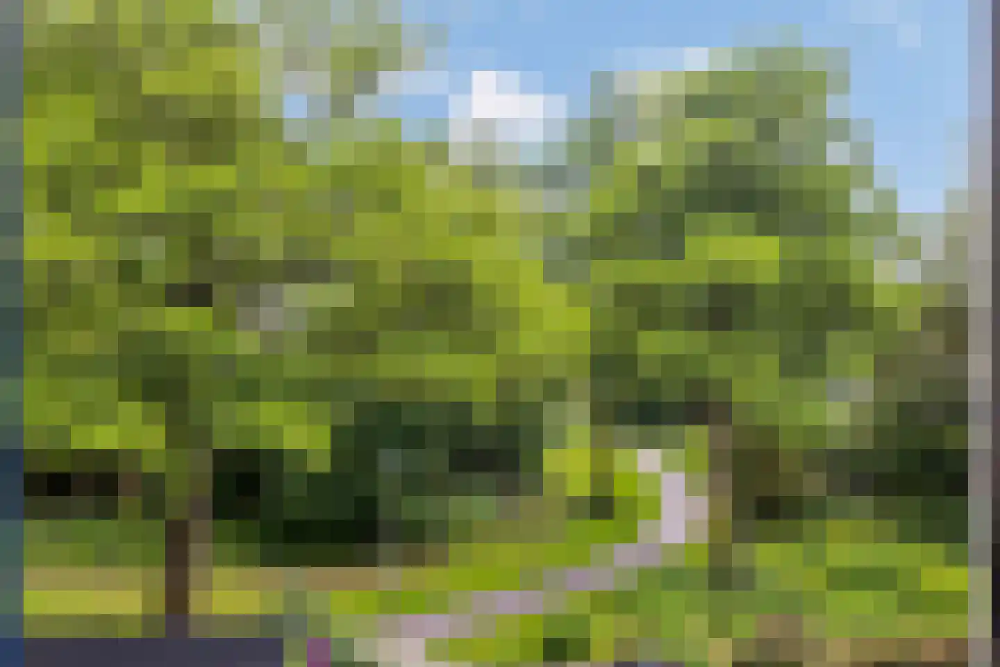 Postmeesterwei 18 Arnhem thumbnail 31