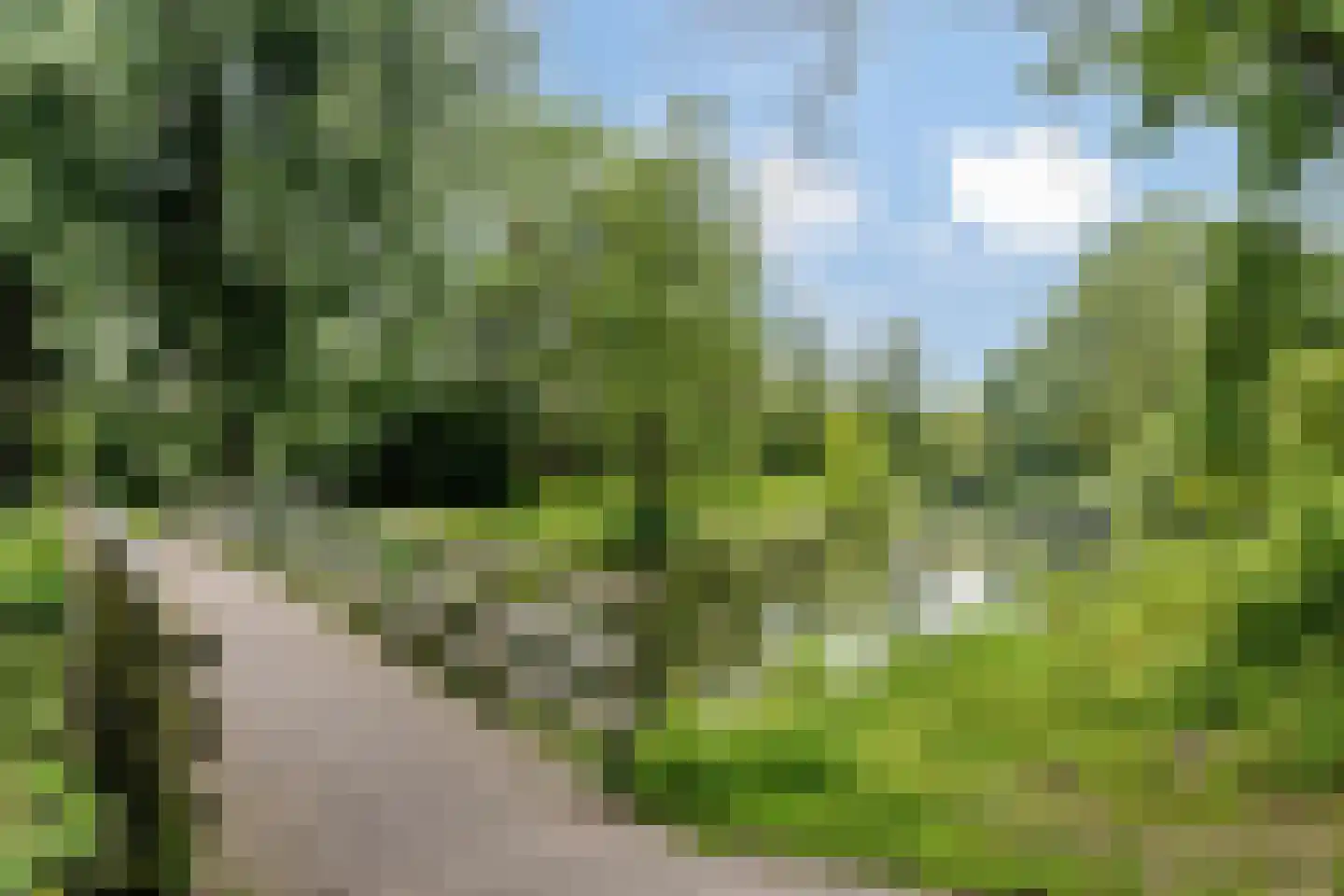 Postmeesterwei 18 Arnhem thumbnail 37