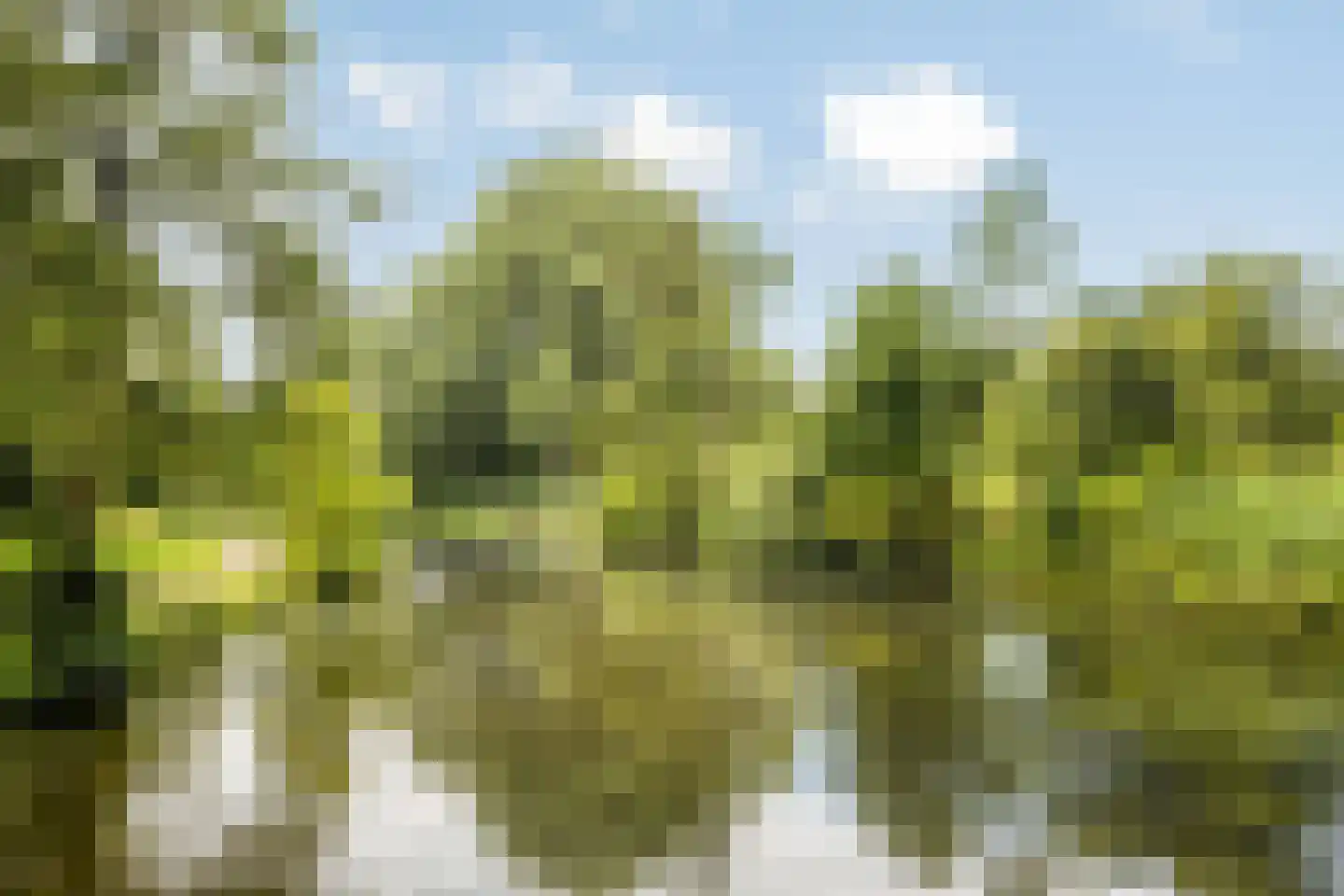 Postmeesterwei 18 Arnhem thumbnail 38
